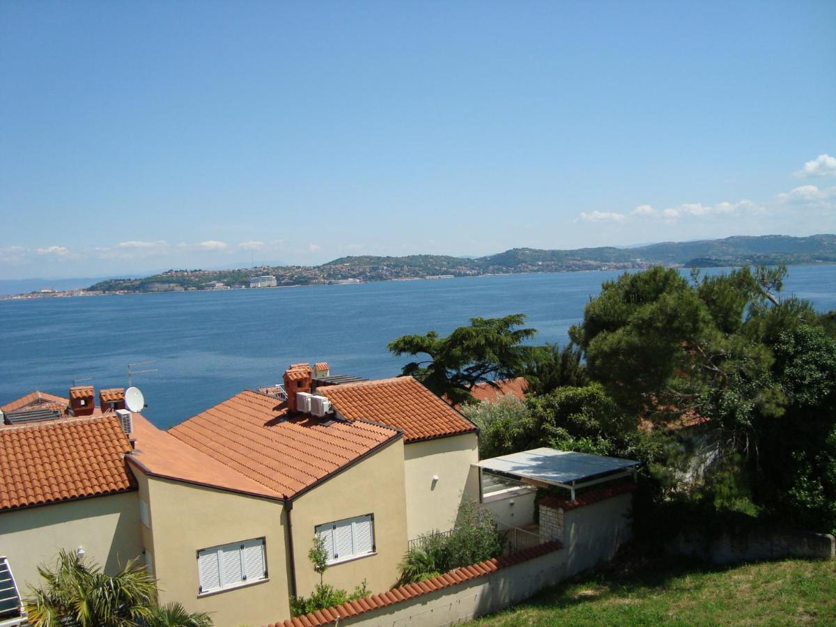 Apartman Carmen Crveni Vrh Exterior foto